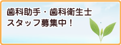歯科助手・歯科衛生士 スタッフ募集中!